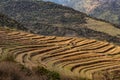 Mountain step farming fields at remote village at morning from top angle Royalty Free Stock Photo