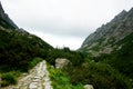 Mountain stone trail through forest in High Tatras. Royalty Free Stock Photo