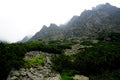 Mountain stone trail through forest in High Tatras. Royalty Free Stock Photo