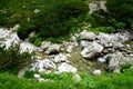 Mountain stone trail through forest in High Tatras. Royalty Free Stock Photo