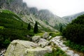 Mountain stone trail through forest in High Tatras. Royalty Free Stock Photo