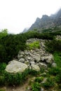 Mountain stone trail through forest in High Tatras. Royalty Free Stock Photo