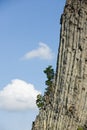 Mountain stone wall, wild rock formations with striped pattern and trees on edge.