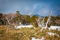 Mountain storm landscape at Hallasan of Jeju island Royalty Free Stock Photo