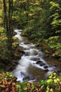 Mountain Stream