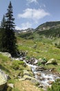 Mountain stream Royalty Free Stock Photo