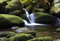 Mountain stream Royalty Free Stock Photo