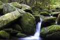 Mountain stream Royalty Free Stock Photo