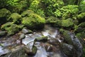 Mountain Stream Royalty Free Stock Photo