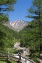 Mountain stream in alpine valley Pfossental in Schnalstal, SÃÂ¼dtirol Royalty Free Stock Photo