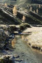 Mountain Stream in Autumn Royalty Free Stock Photo