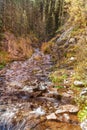 Mountain Stream in Autumn Royalty Free Stock Photo