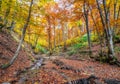 Mountain stream. Autumn landscape in forest Royalty Free Stock Photo