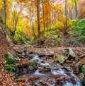 Mountain stream. Autumn landscape in forest Royalty Free Stock Photo