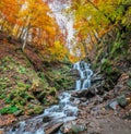 Mountain stream. Autumn landscape in forest Royalty Free Stock Photo