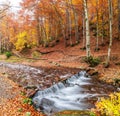 Mountain stream. Autumn landscape in forest Royalty Free Stock Photo