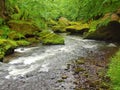 Mountain stream with big boulders below fresh green trees. Water level makes green reflections. The end of summer Royalty Free Stock Photo