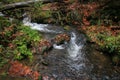 Mountain stream with big boulders below fresh green trees. Water level makes green reflections. The end of summer Royalty Free Stock Photo