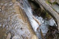 Mountain stream is blocked with logs.