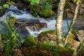 Mountain Stream in the Blue Ridge Mountains Royalty Free Stock Photo