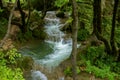 Mountain stream with blue water flowing through green forest and glade on natural park Zlatibor Royalty Free Stock Photo