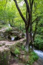 Mountain stream with blue water flowing through green forest and glade Royalty Free Stock Photo