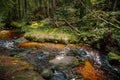 Mountain stream in the Bohemian Forest, Sumava national park, Nova Pec, Czech Republic Royalty Free Stock Photo