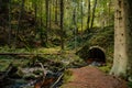 Mountain stream in the Bohemian Forest, Sumava national park, Nova Pec, Czech Republic Royalty Free Stock Photo