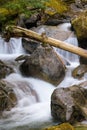 Mountain stream cascades over large boulders, a worn tree is caught up on a rock