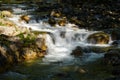 Mountain stream catching the light as it falls through the forest Royalty Free Stock Photo