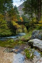 Clear mountain stream passing under a stony bridge in autumn landscape