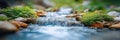 mountain stream with clear water flows through rocks in the forest. Landscape panorama with nature Royalty Free Stock Photo