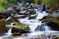 Mountain stream creek in the stones and green grass banks in mountain forest Royalty Free Stock Photo