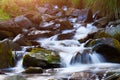 Mountain stream creek in the stones and green grass banks in mountain forest Royalty Free Stock Photo