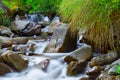 Mountain stream creek in the stones and green grass banks in mountain forest Royalty Free Stock Photo