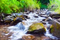 Mountain stream creek in the stones and green grass banks in mountain forest Royalty Free Stock Photo