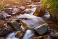 Mountain stream creek in the stones and green grass banks in mountain forest Royalty Free Stock Photo