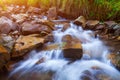 Mountain stream creek in the stones and green grass banks in mountain forest Royalty Free Stock Photo