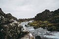 A mountain stream of dark cold water near the waterfall of Oxararfoss in Thingvellir National Park, Iceland. Green grass amidst