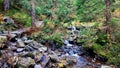 a mountain stream deep in the mountains