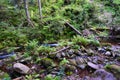 Mountain stream in a deep rocky valley Royalty Free Stock Photo