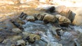 Mountain stream in the dolomites 6 Royalty Free Stock Photo