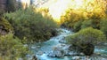 Mountain stream in the dolomites 4 Royalty Free Stock Photo