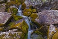 Mountain stream flowing among the mossy stones. Royalty Free Stock Photo