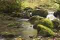 Mountain stream flowing through the mossy stones Royalty Free Stock Photo