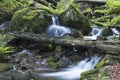 Mountain stream flowing among the mossy stones. Royalty Free Stock Photo