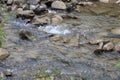 Mountain stream flowing over rocks with foam Royalty Free Stock Photo