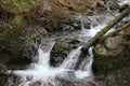 Mountain stream flowing through the woods. Royalty Free Stock Photo