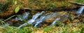 Mountain stream flows through the autumn forest Royalty Free Stock Photo