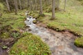 A mountain stream flows in the misty forest